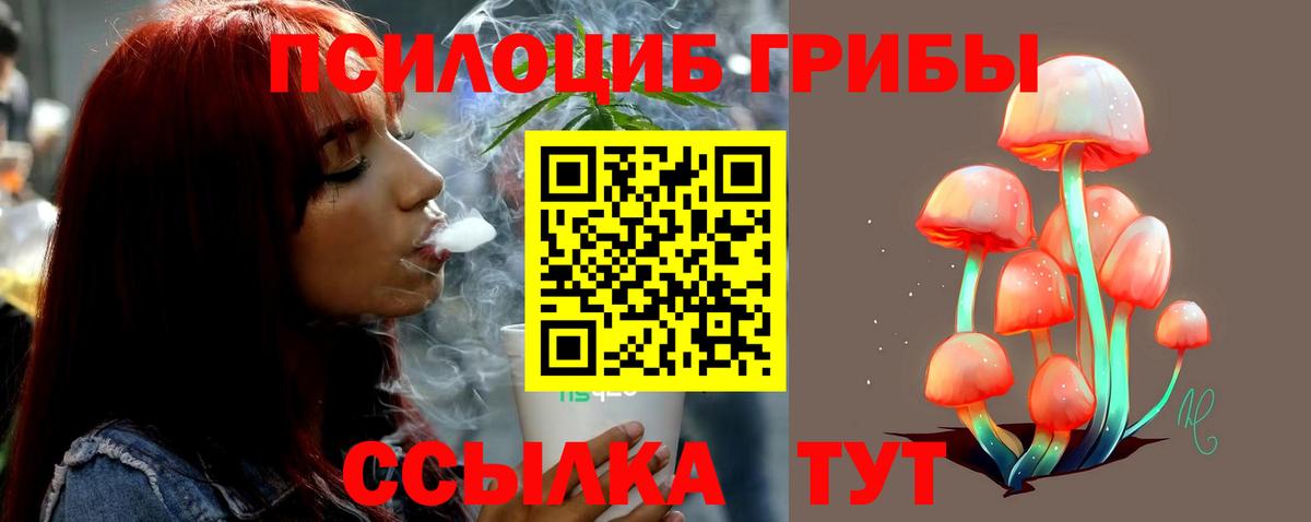Лысьва  Псилоцибиновые грибы Psilocybine cubensis  Вход с VPN  Галлюциногенные грибы ЛСД 